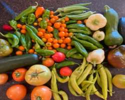 The content creator enjoys gardening and also encourages his fans to grow something in their own garden to taste the real fresh vegetables.